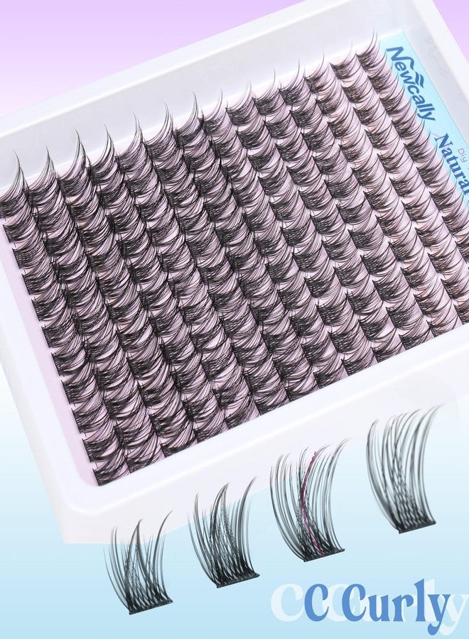 Newcally Cluster Lashes Wispy Natural Eyelash Clusters DIY Lash Extension C-curly Cluster Eyelash Extension 10-16MM Individual Lashes Thin Lash Band by Newcally - Image 5